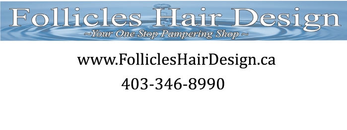 Follicles Hair Design and Spa