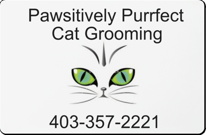 Pawsitively purrfect cat grooming