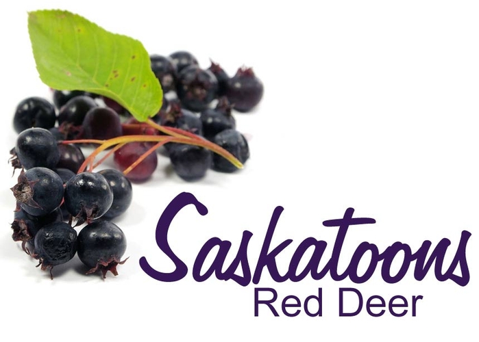 Saskatoons Red Deer - U-Pick